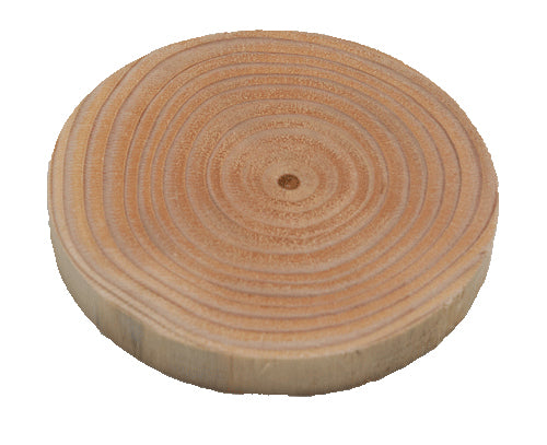 1 x Wood round for Hammering - 100mm diameter, 26mm thick